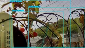 user11_20260421_100005_641ab2_pred