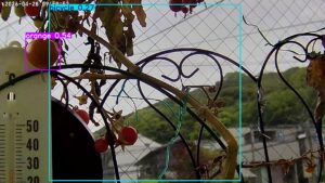 user11_20260428_100006_47d171_pred